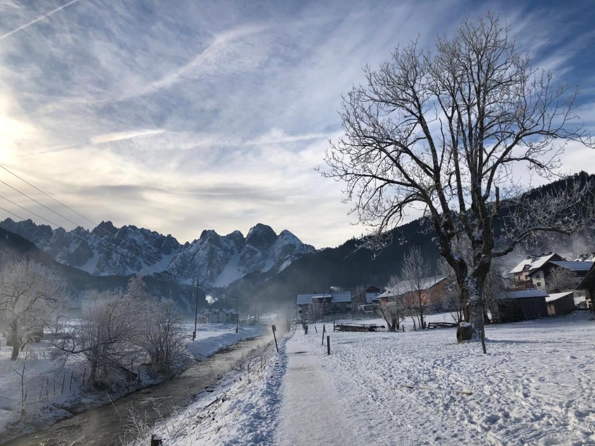 Ferienwohnung Dachstein Mountainview Gosau Exterior foto